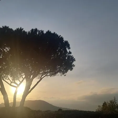 Podere Grandolfi Bed and Breakfast