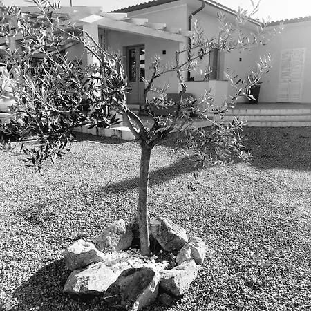 Oda ve Kahvaltı Podere Grandolfi Capoliveri (Isola d'Elba)