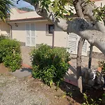 Podere Grandolfi Bed & Breakfast