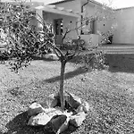 Bed & Breakfast Podere Grandolfi Capoliveri (Isola d'Elba)