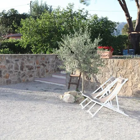 Podere Grandolfi