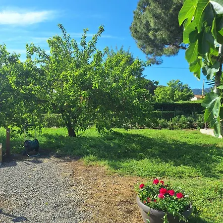 Podere Grandolfi B&B 카폴리베리
